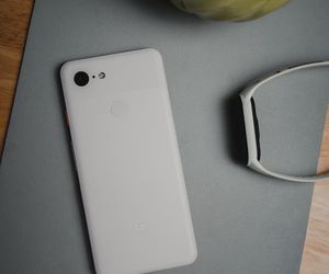 View of a green plant on a desk.